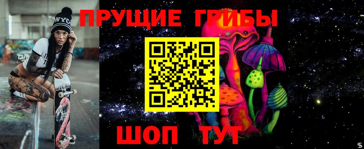 магазин продажи наркотиков  Вход с VPN  Дивногорск  Псилоцибиновые грибы Psilocybe  Галлюциногенные грибы GOLDEN TEACHER 